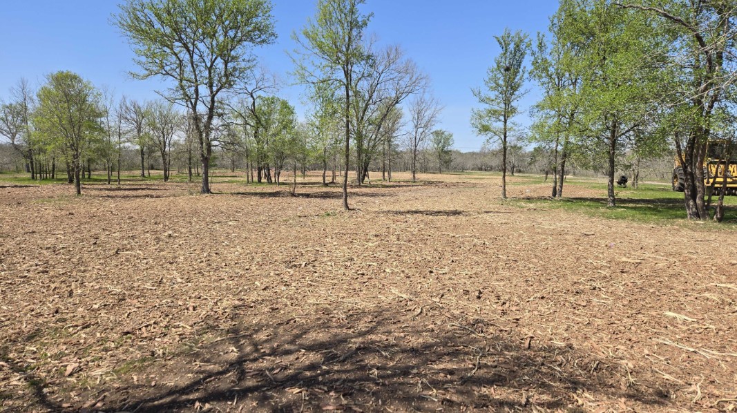 forestry mulcher clearing land in Dale TX