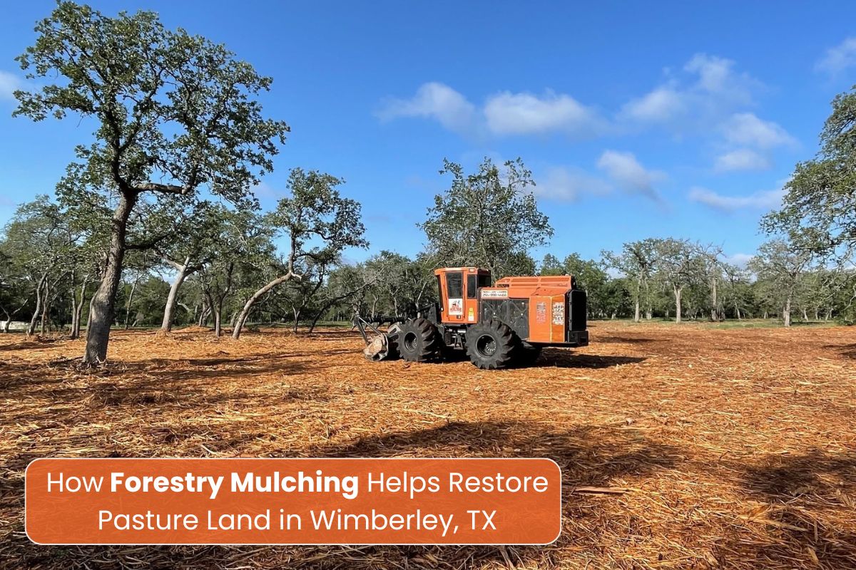 Forestry Mulching