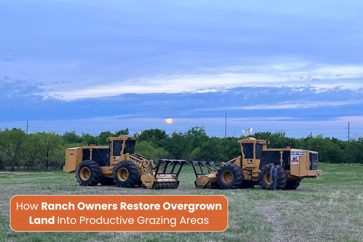 Ranch Owners Restore Overgrown Land