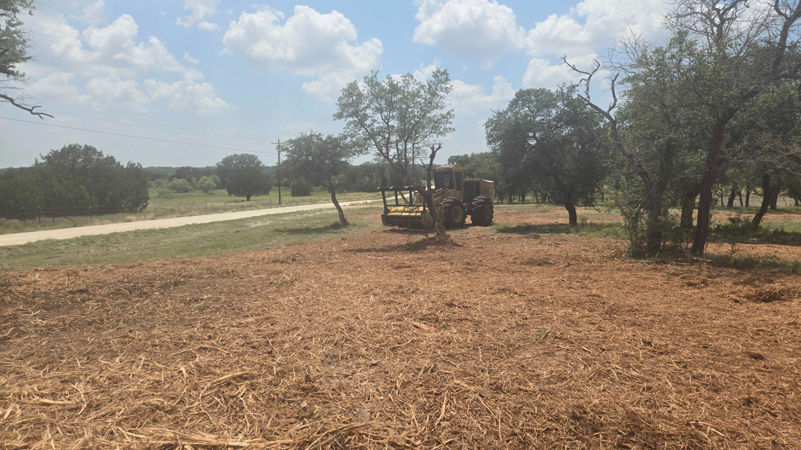 Cleared corridor through preserved oaks after selective land clearing