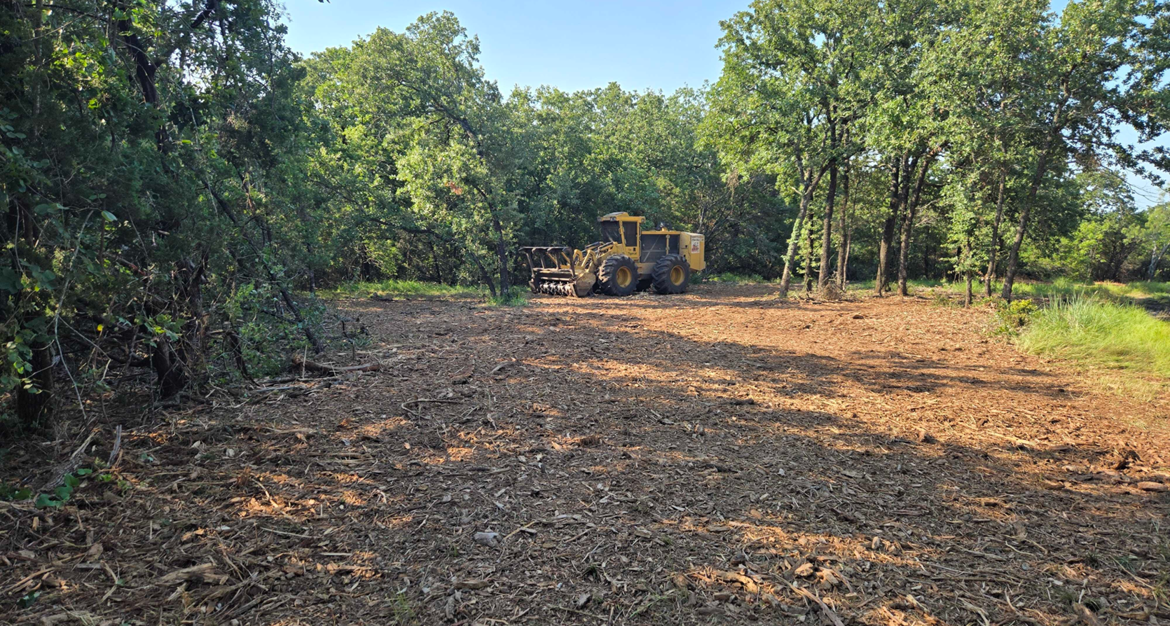 Morgan, Texas 6 Acre Forestry Mulching