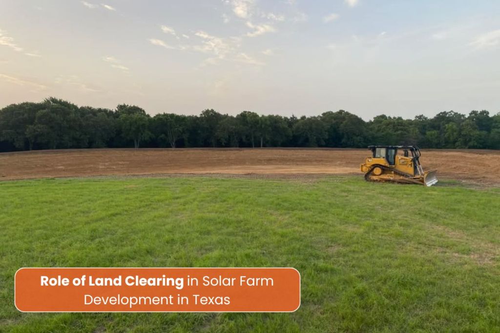 Solar Farm Land Clearing in Texas