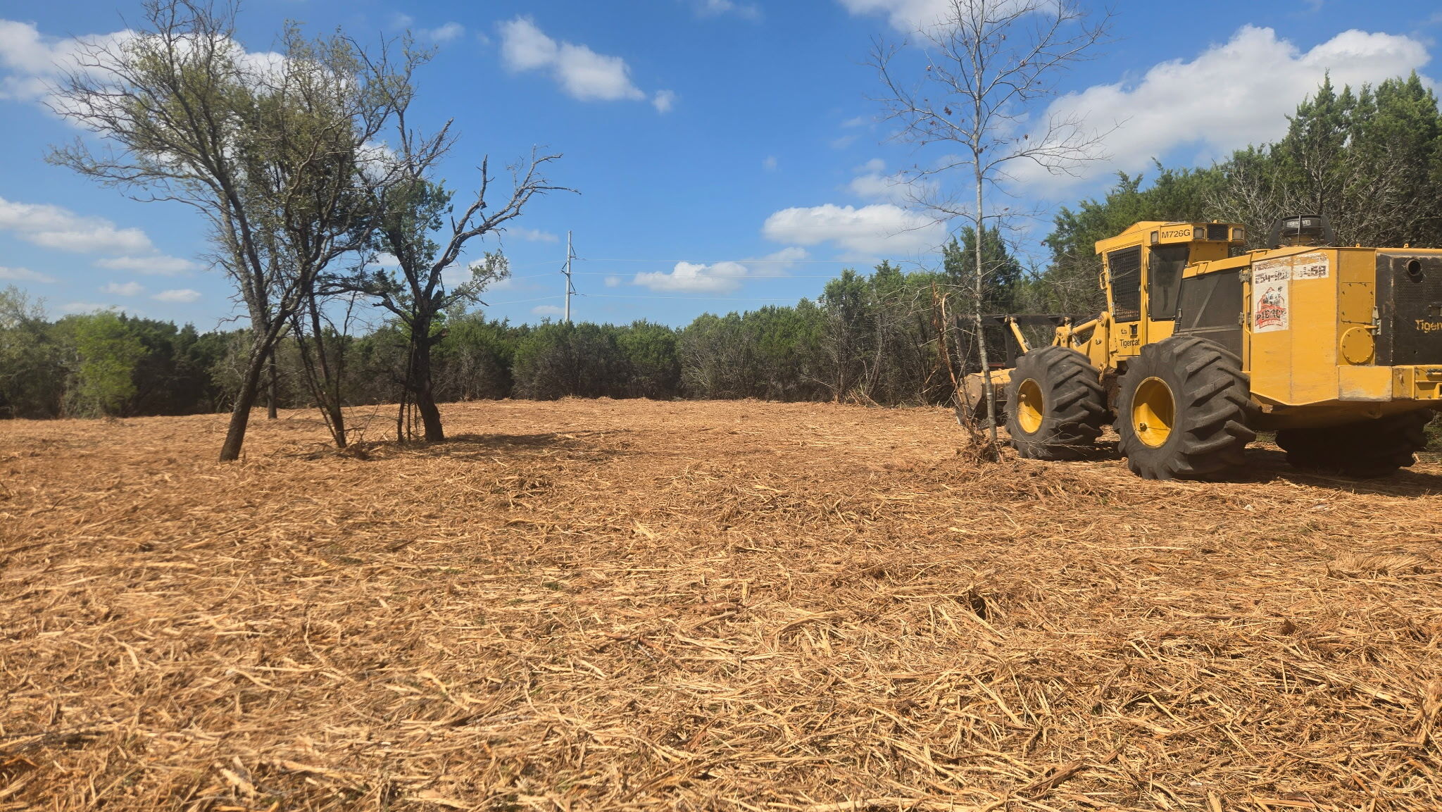 land clearing in TX