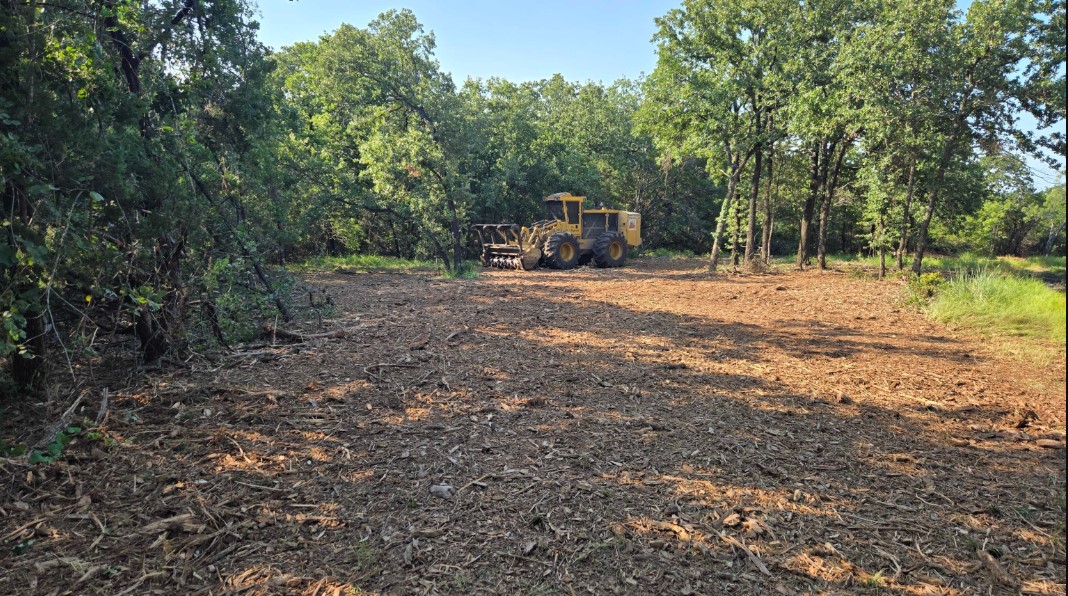 land clearing in Morgan