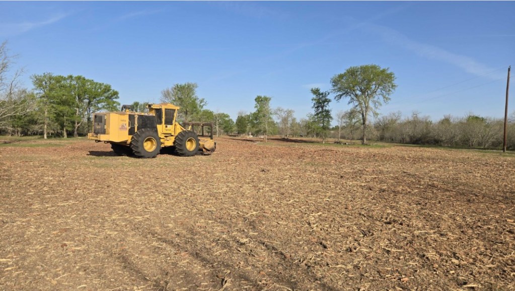 Forestry mulcher clearing brush on the Dale TX project
