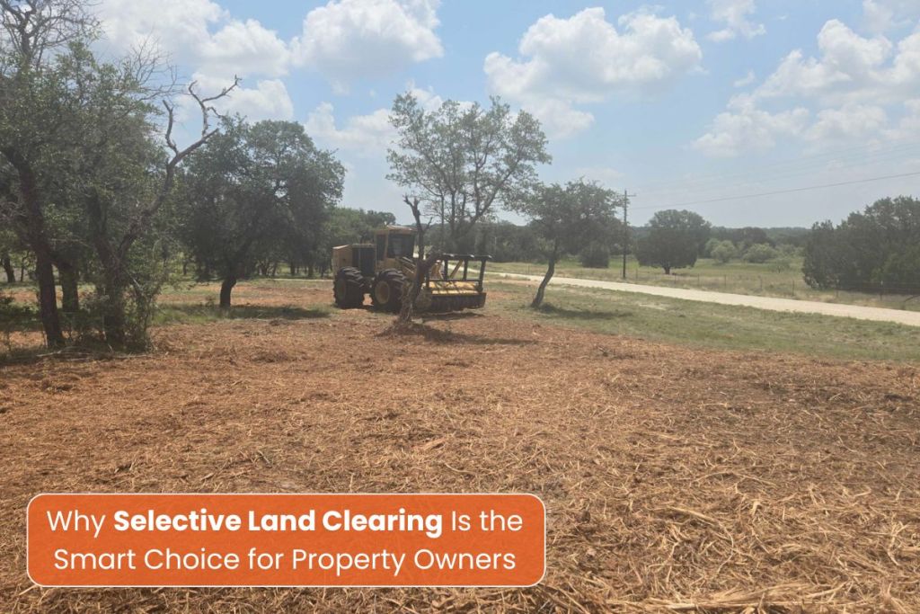 Selective Land Clearing