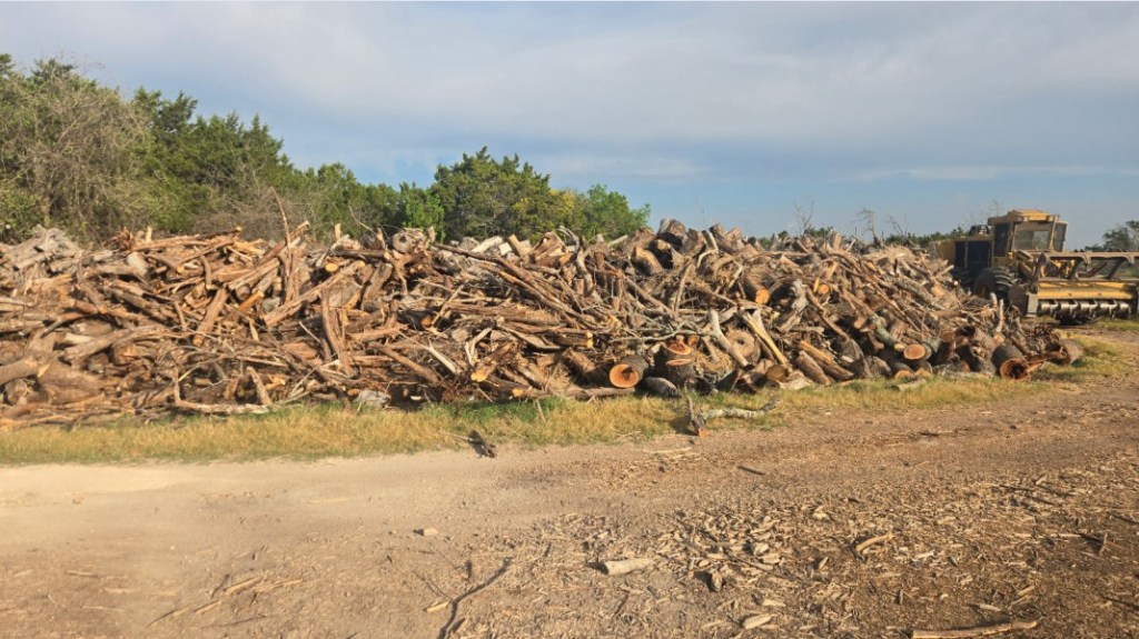 forestry mulching stacked tree debris in Austin Texas