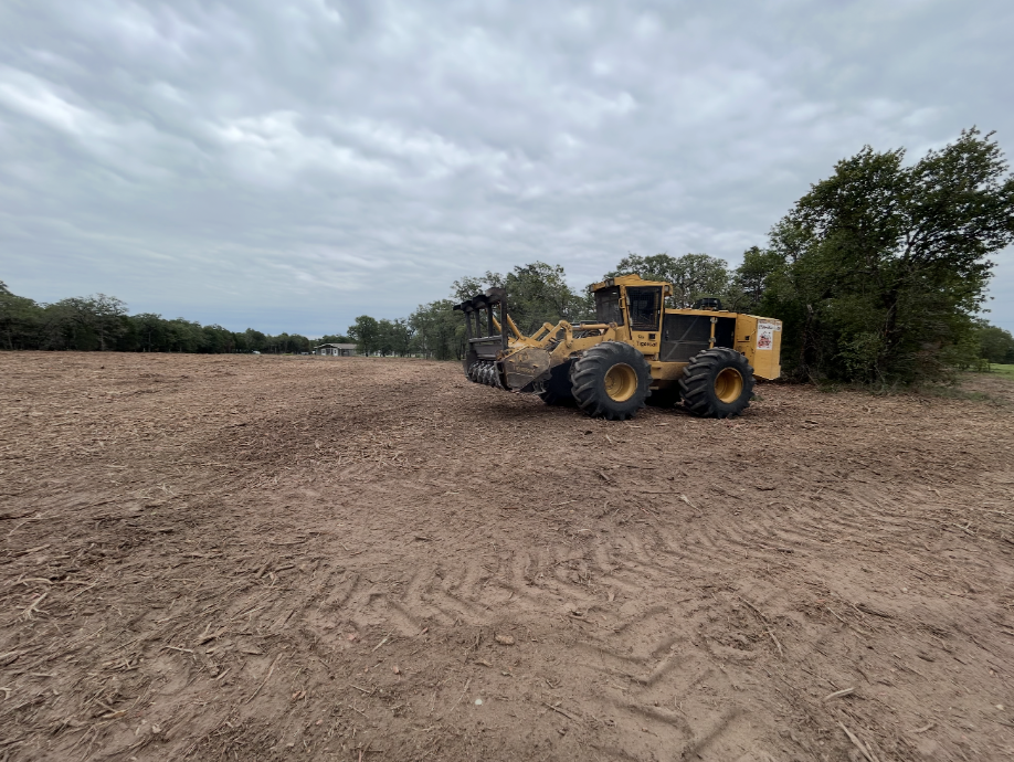 tree removal project in Central Texas