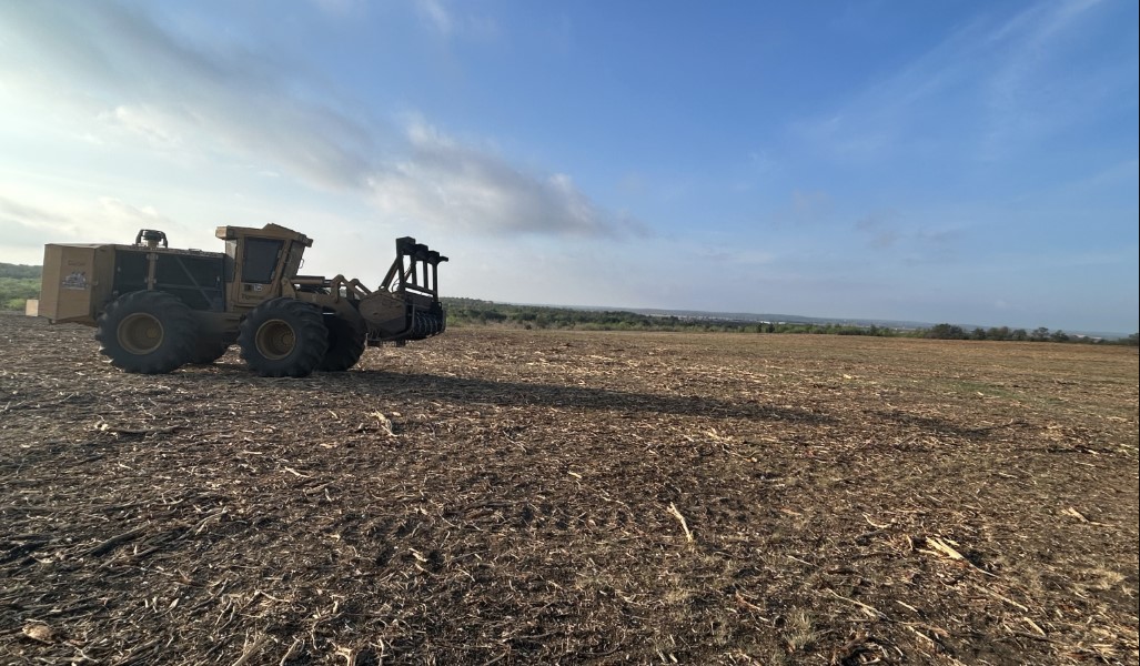 land clearing