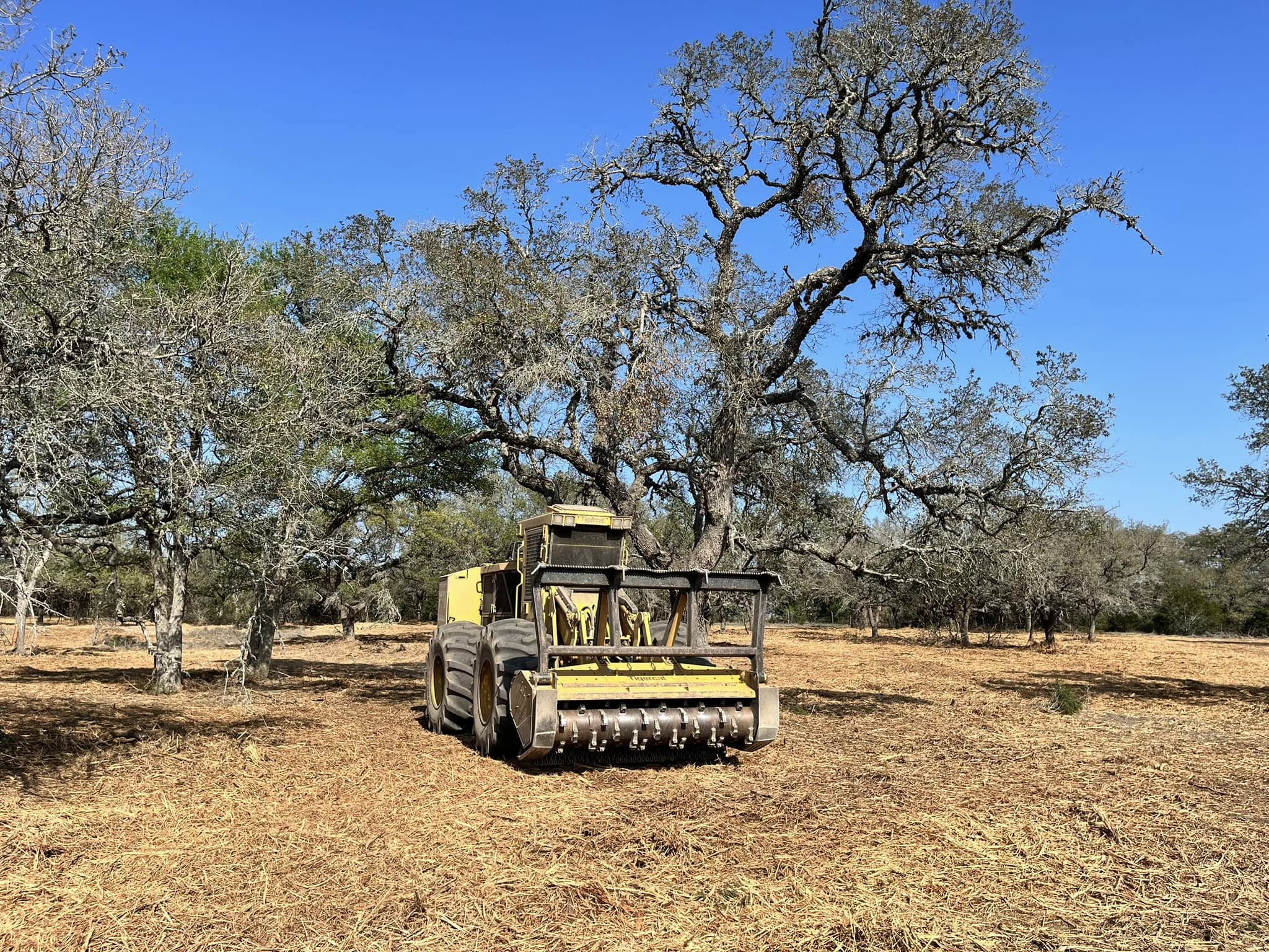Tigercat M726G clearing downed trees in Morgan TX