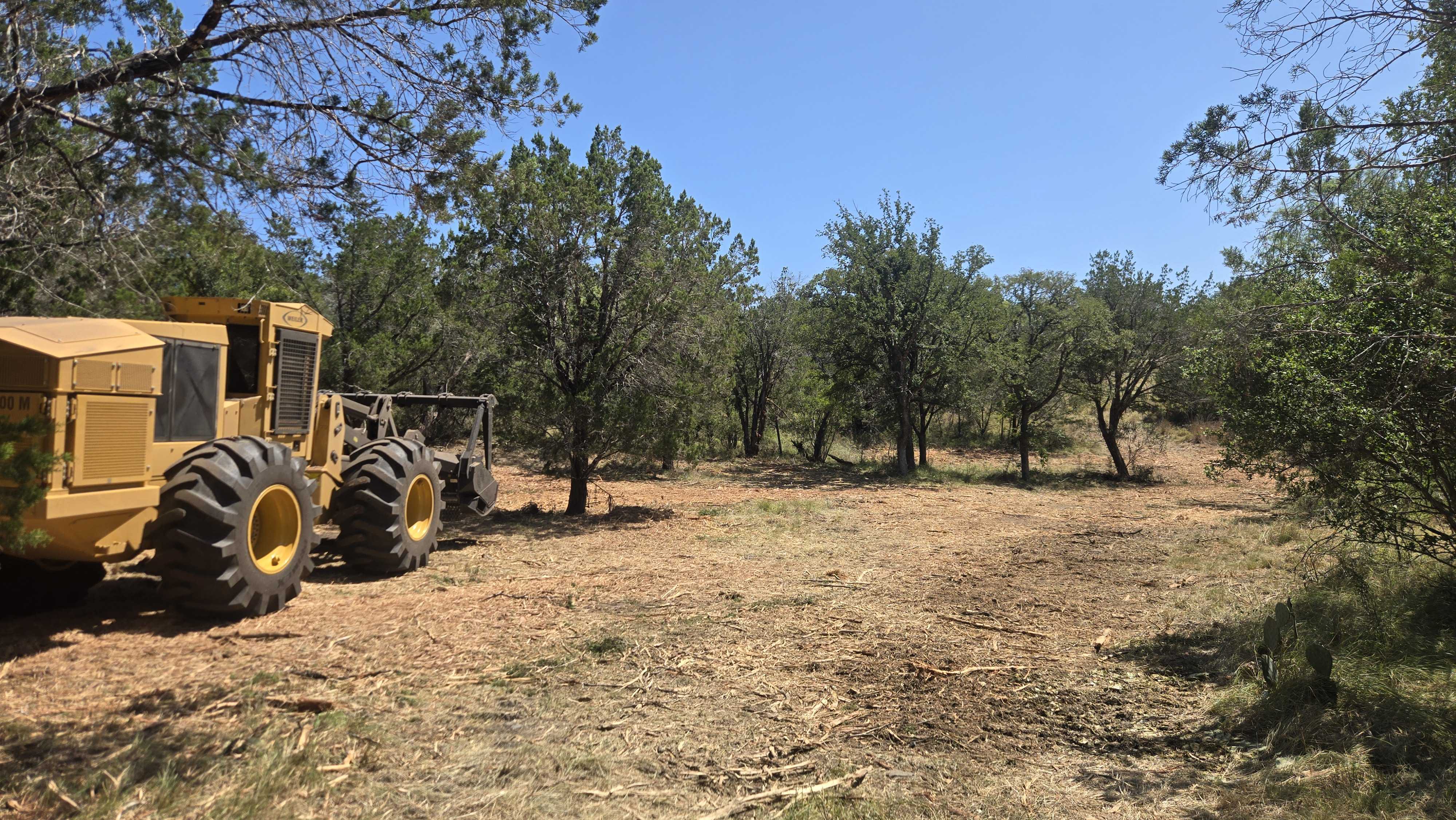 Weiler M860A forestry mulcher clearing cedar from overgrown trails in Llano Texas