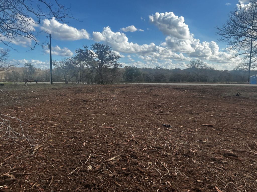 Big mesquite and underbrush before clearing in Gonzales TX