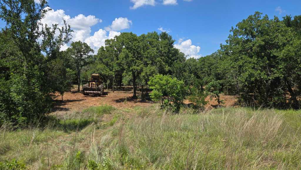 Brush before land clearing on north Texas ranch land near Dallas