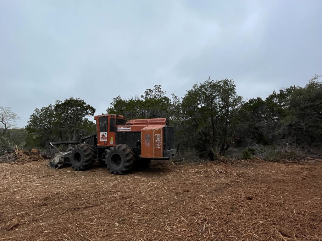 Cedar brush before land clearing in Blanco County TX