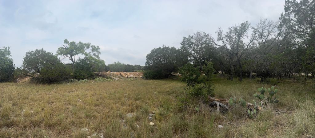 Cedar covered granite ground before clearing near Llano TX