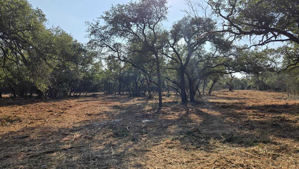 Cleared acreage after cedar removal in Georgetown TX