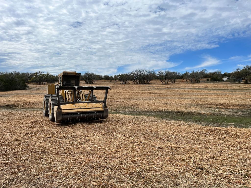 Cleared Hill Country ground with oaks preserved near Blanco TX