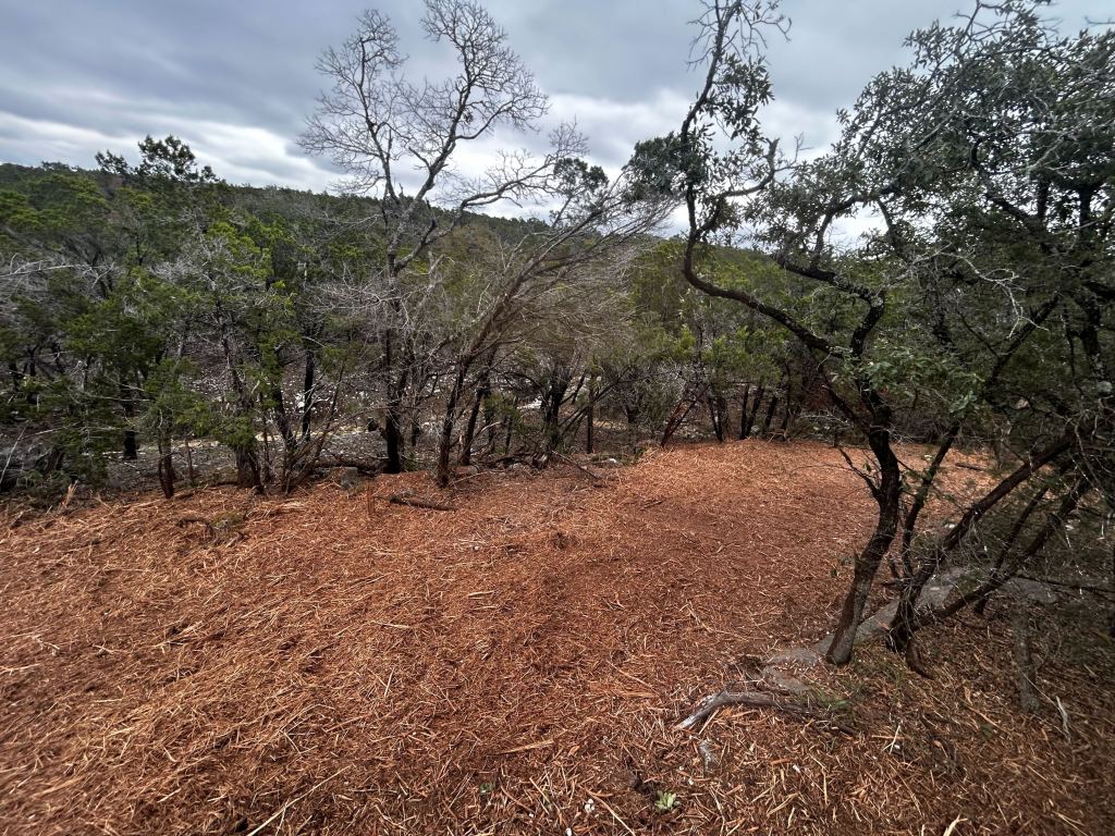 Cedar cleared from Hill Country ranch ground near Johnson City TX