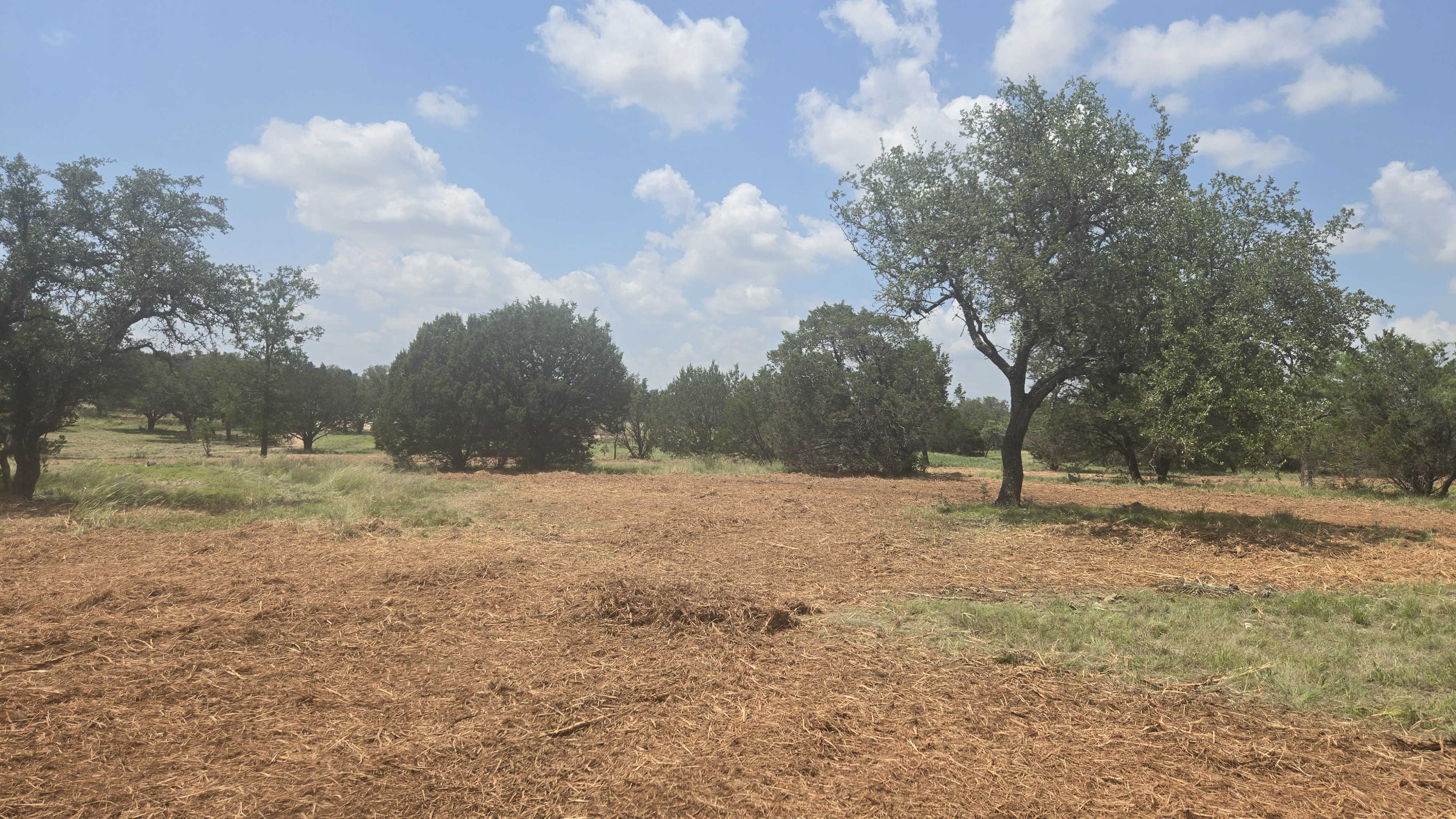 Cleared fence right of way in Lampasas County TX
