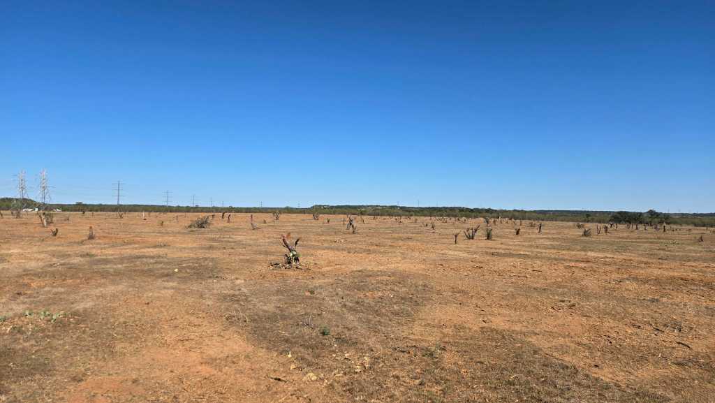 Cleared ground after forestry mulching in Brownwood TX