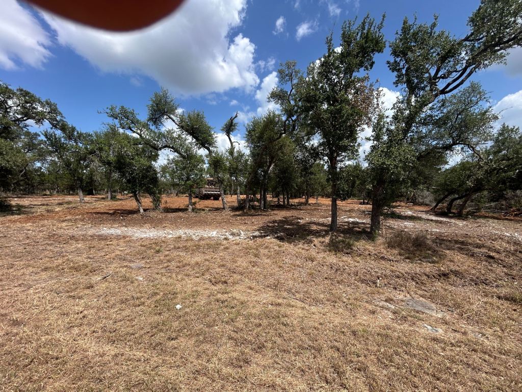 Cleared ground with oaks preserved in San Marcos TX near Buda