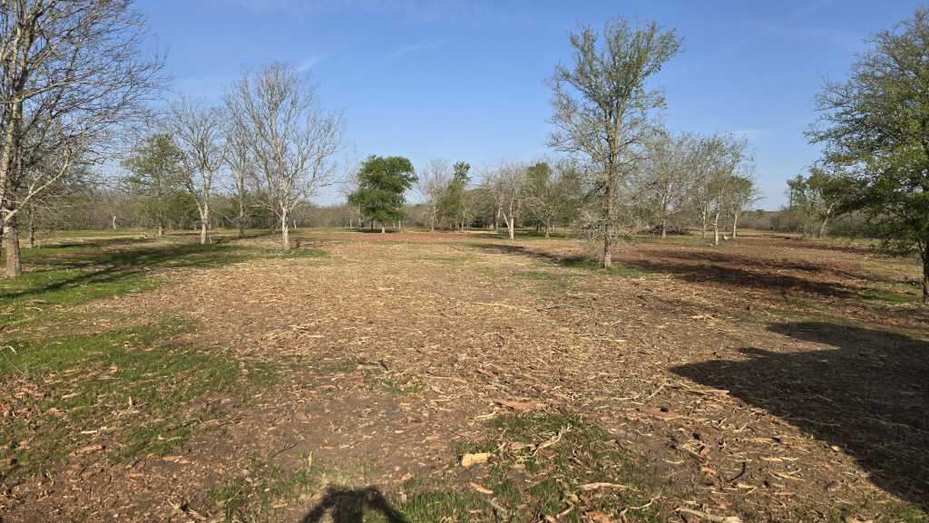 Cleared mesquite pasture near Rosanky TX