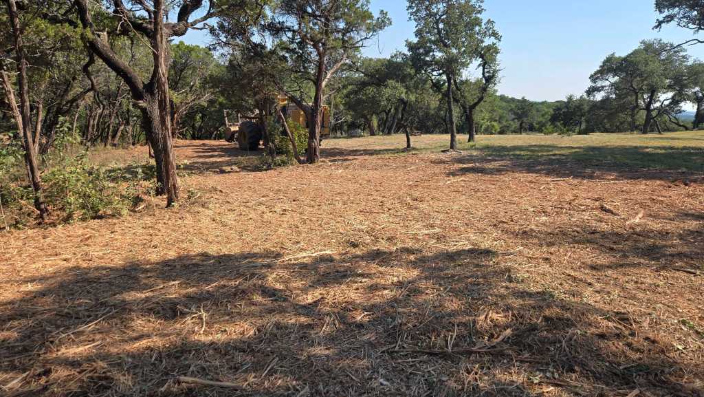 Cleared oak ground after cedar removal in Cleburne TX