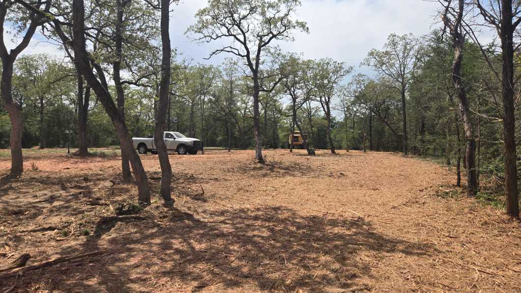 Cleared oak savannah in Bastrop County near Cedar Creek TX