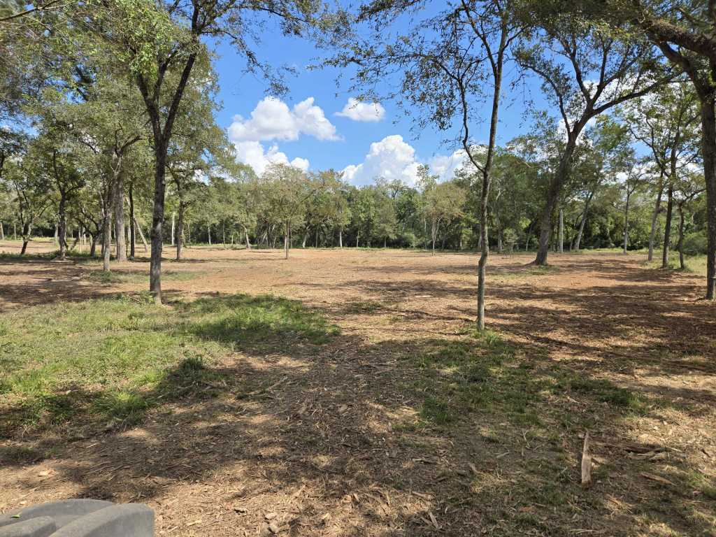 Cleared pasture under shade trees in Bellville TX near Brenham