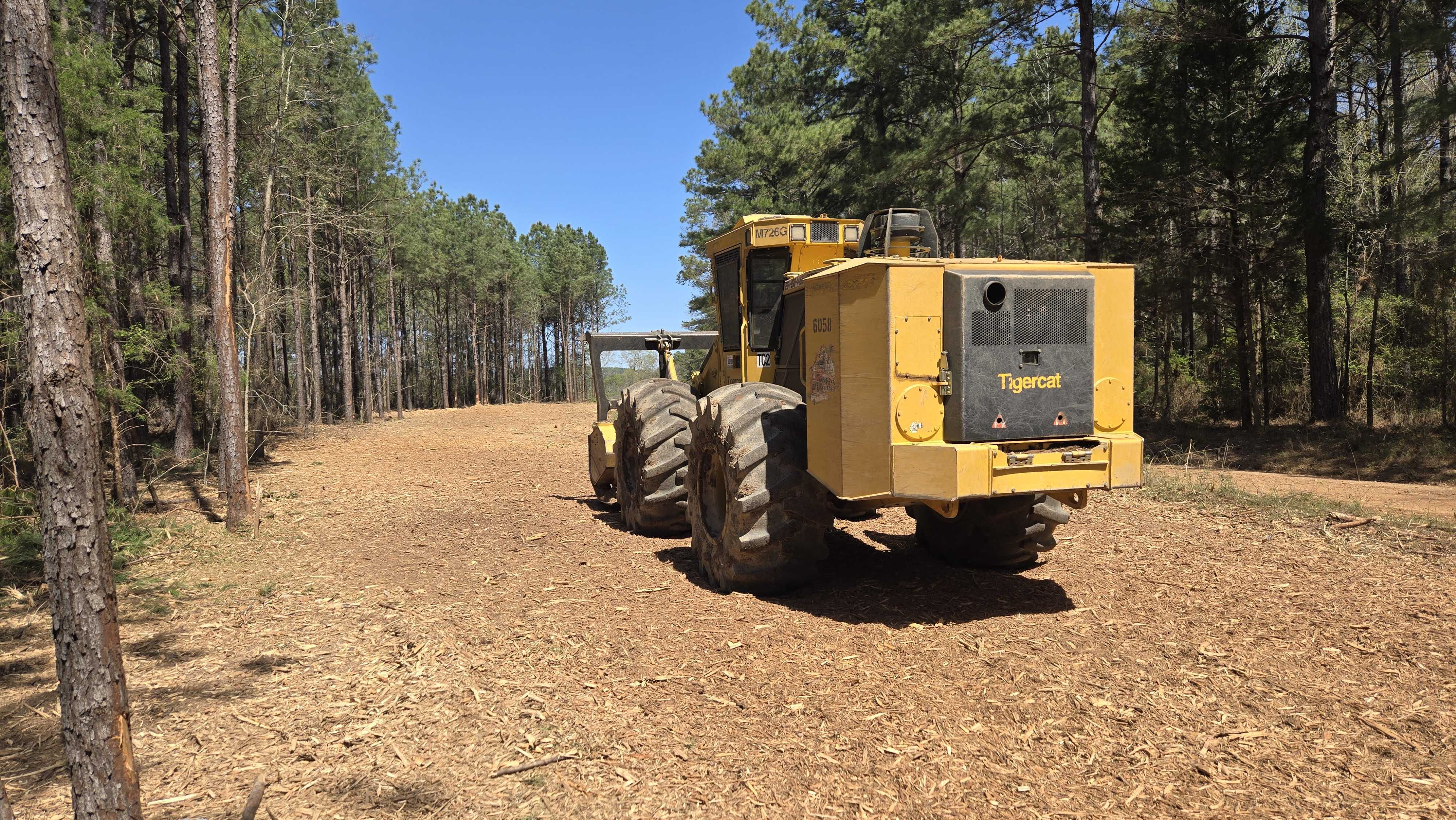 Cleared fence line corridor through pines near Conroe TX