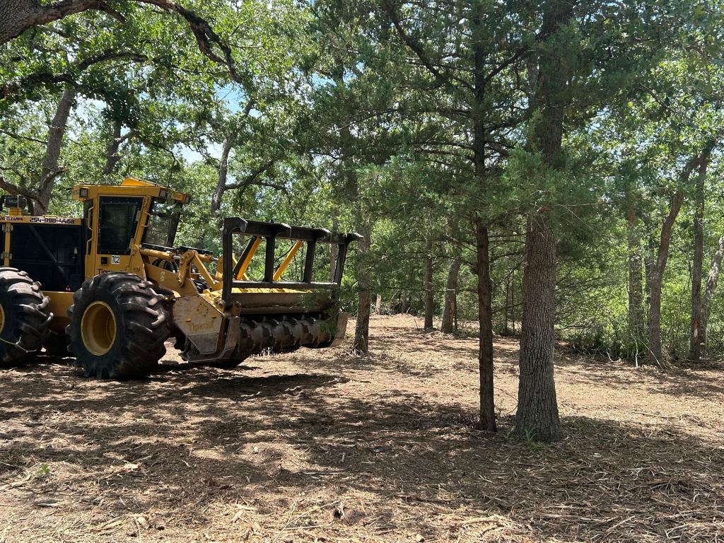 Cleared post oak woods in the Brazos Valley near College Station TX