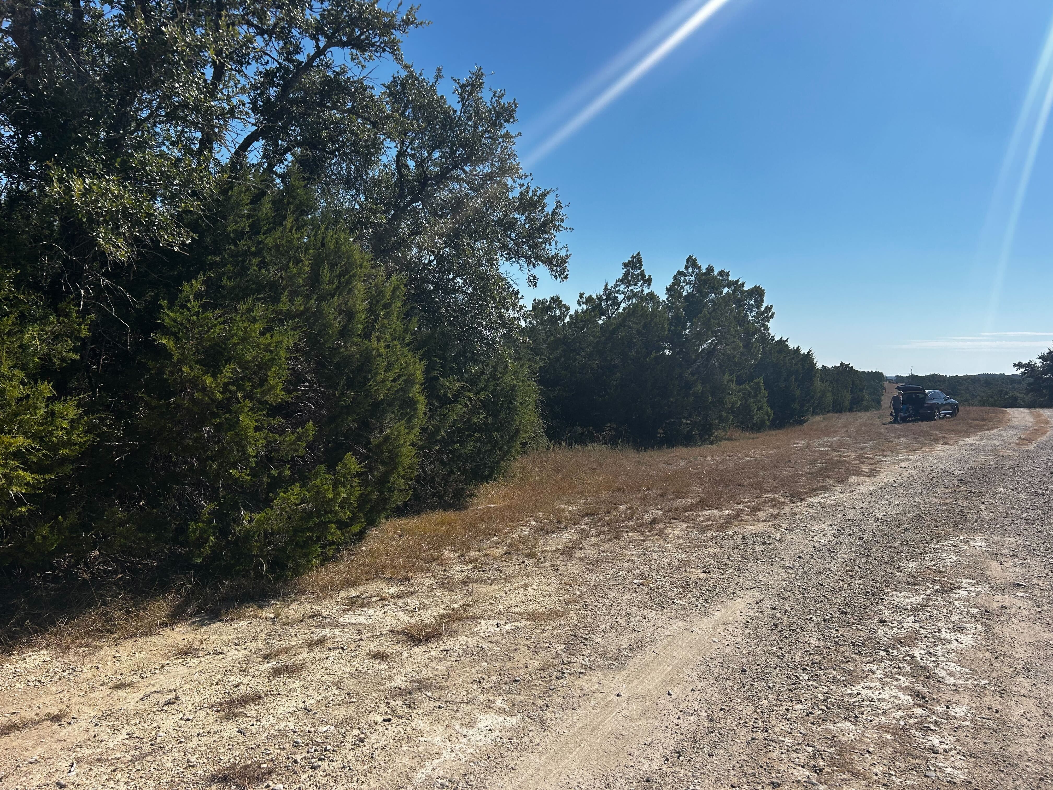 Cleared caliche road corridor along the cedar line on an Austin area job