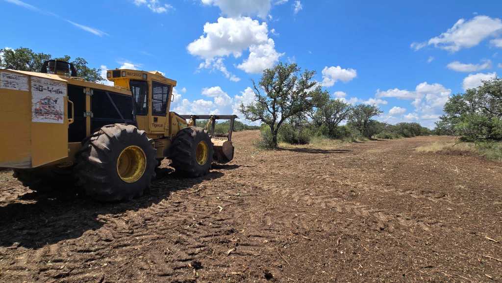 Cleared sendero through the brush near Mason TX