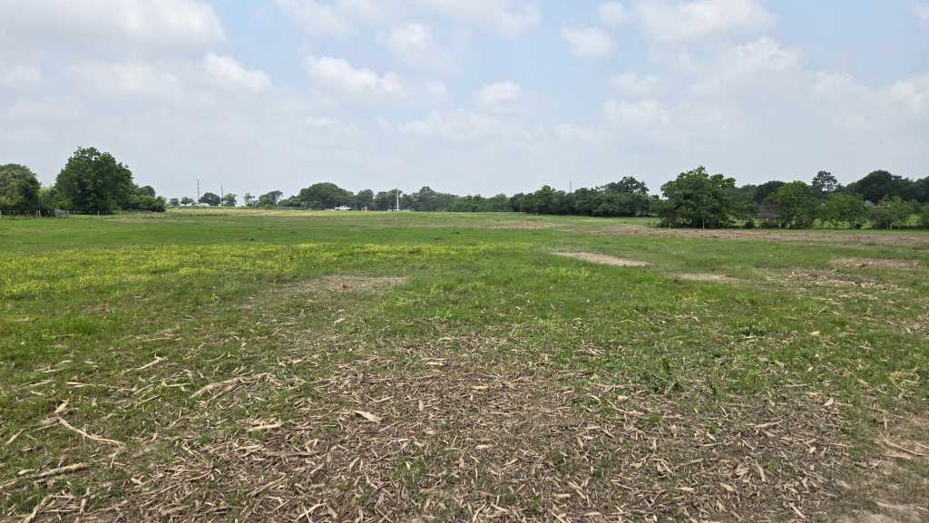 Clearing old fence lines on acreage northwest of Houston TX