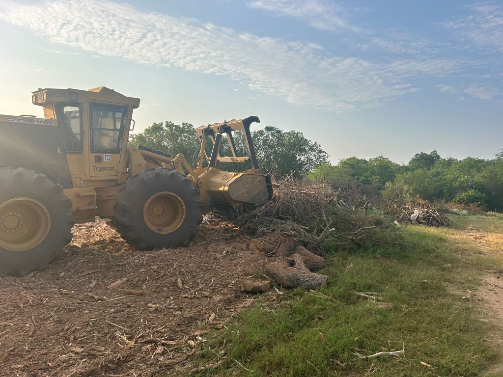 Debris piles before grinding on a grounds cleanup project