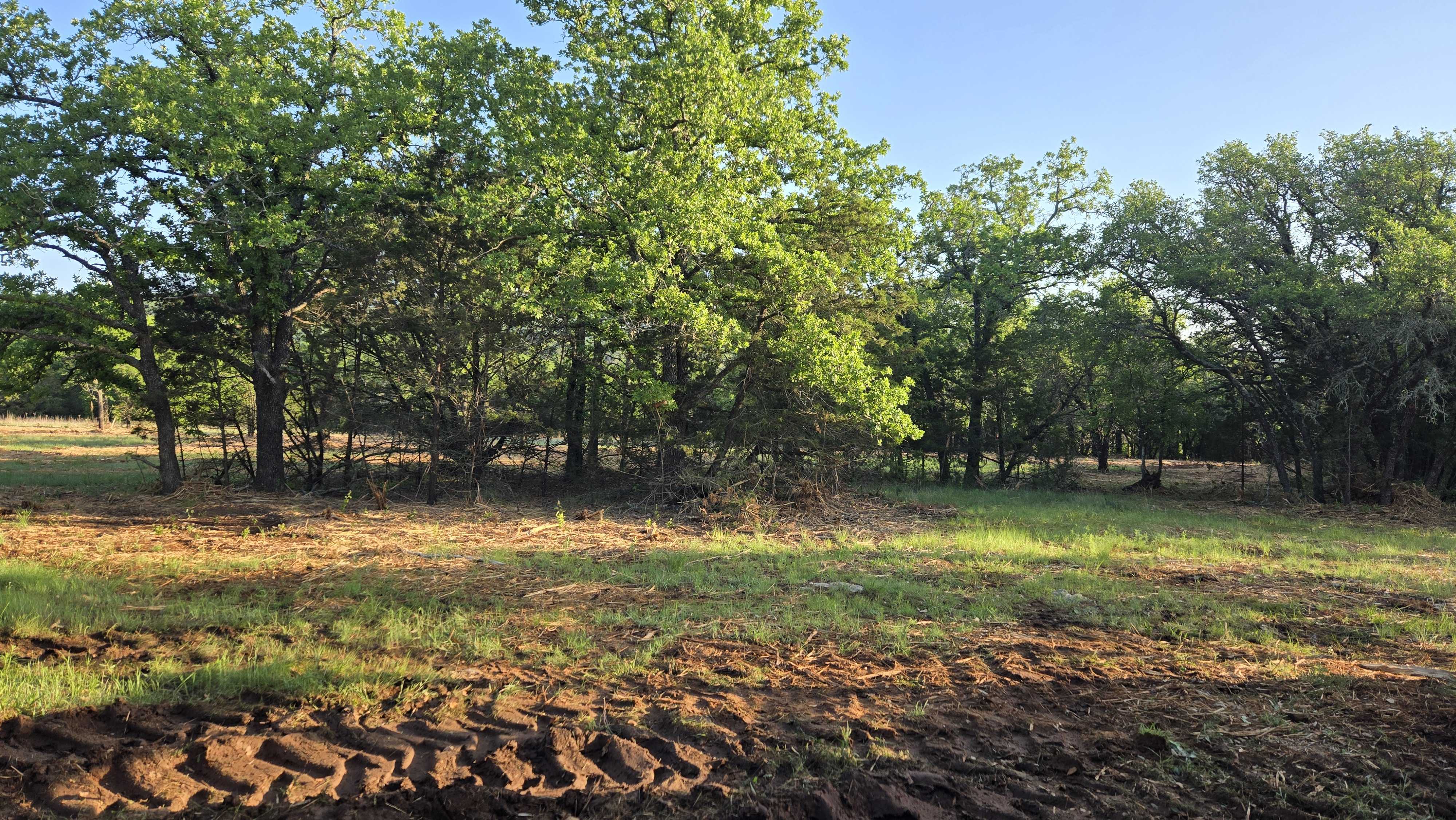 Fence line and pasture clearing in Dale TX