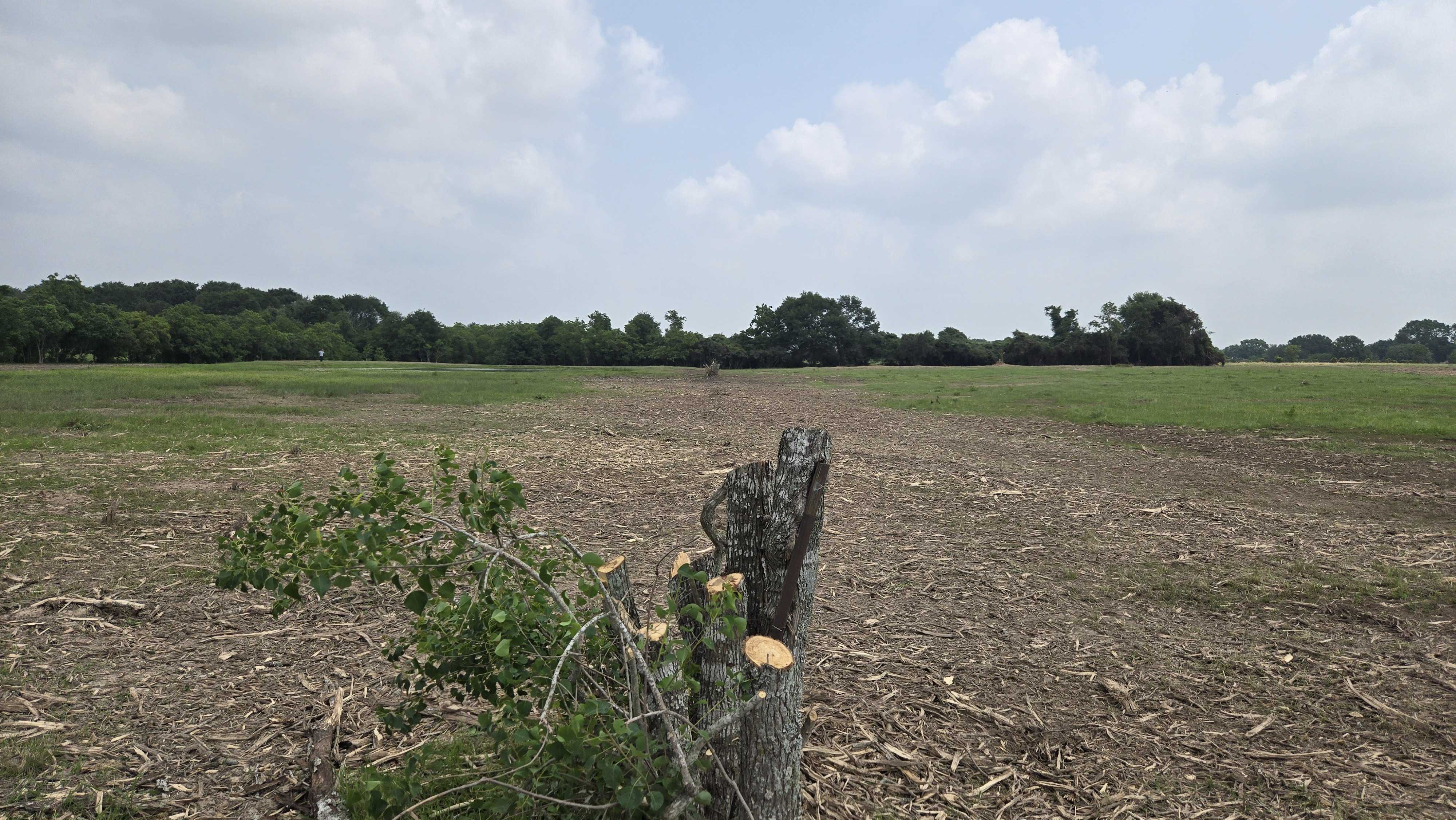 Fence line clearing near Magnolia TX