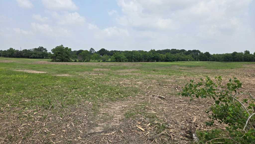 Field turned into mulched pasture northwest of Houston TX