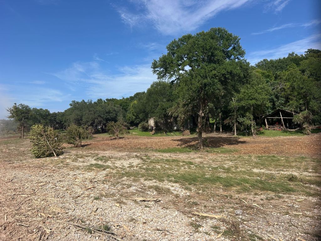 San Gabriel flood damage cleaned up with excavator and mulcher in Georgetown TX