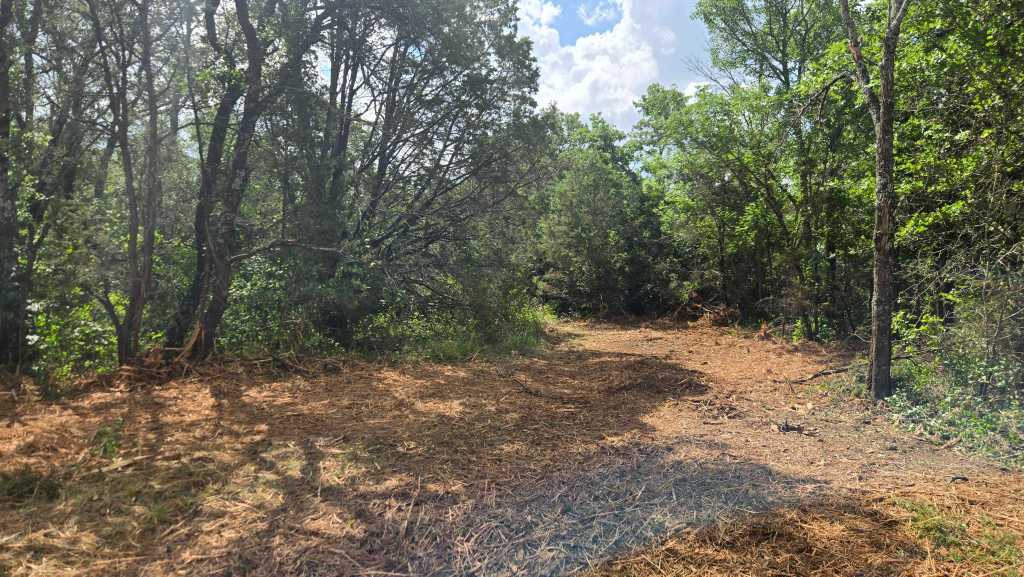 Forestry mulcher clearing cedar on a north Texas ranch near Cisco