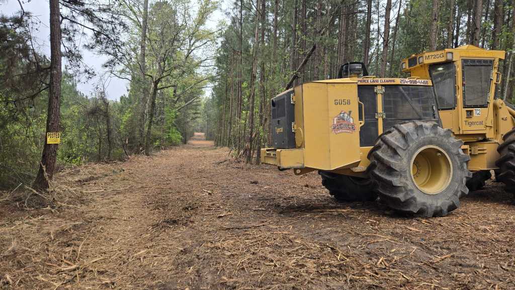 Forestry mulcher clearing a pine corridor in east Texas pine country like Conroe TX