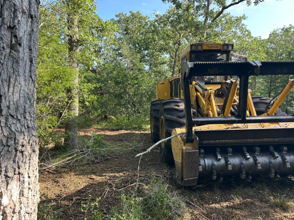 Forestry mulcher working through woods near Bryan TX
