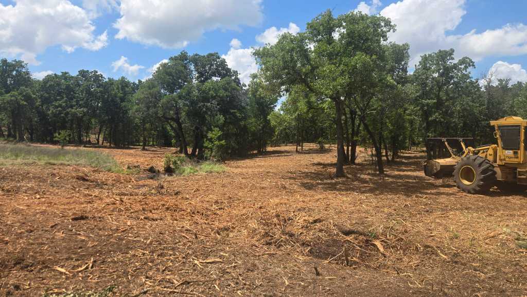Forestry mulching north Texas oak country for Dallas area clients