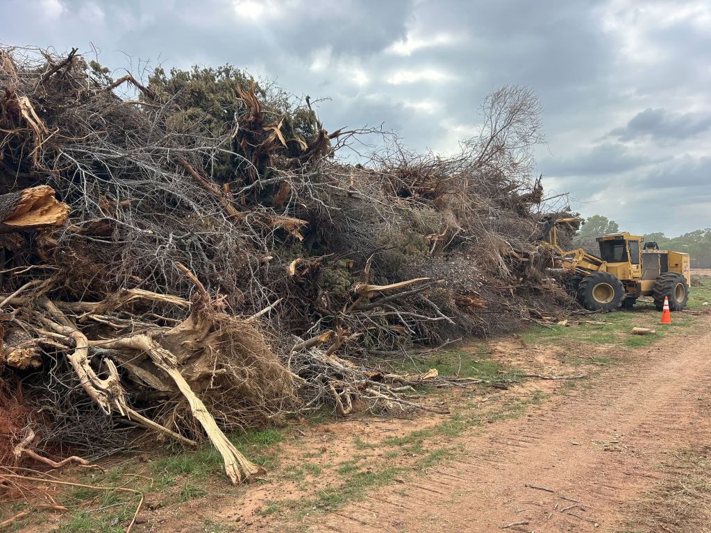Grinding a large brush pile on a Hill Country property near Wimberley TX