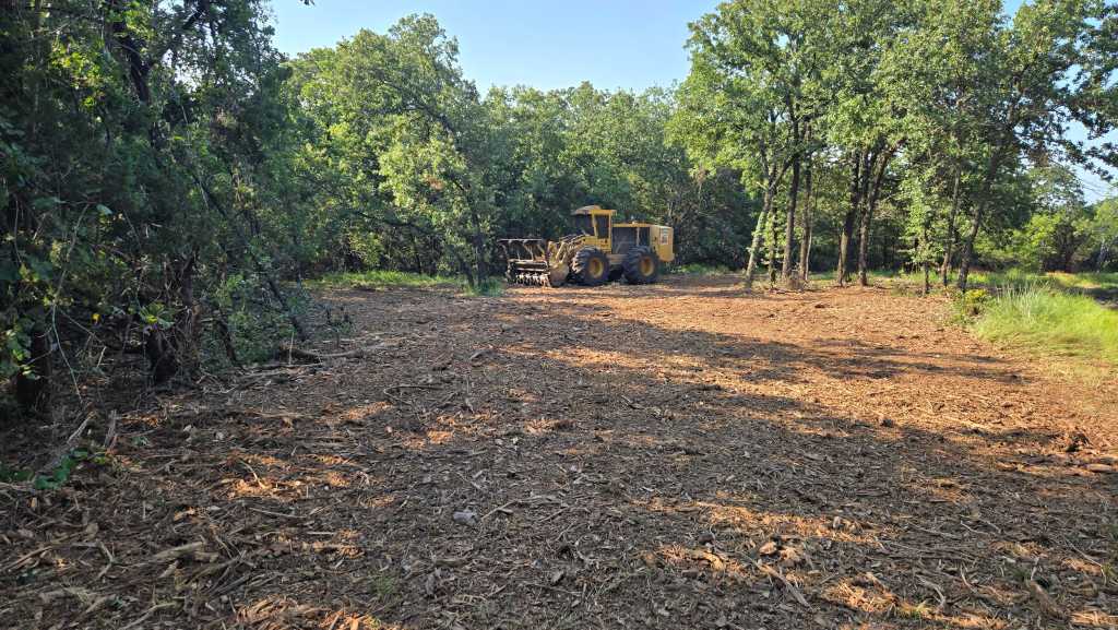 Clean ground after tree mulching near Jonesboro TX