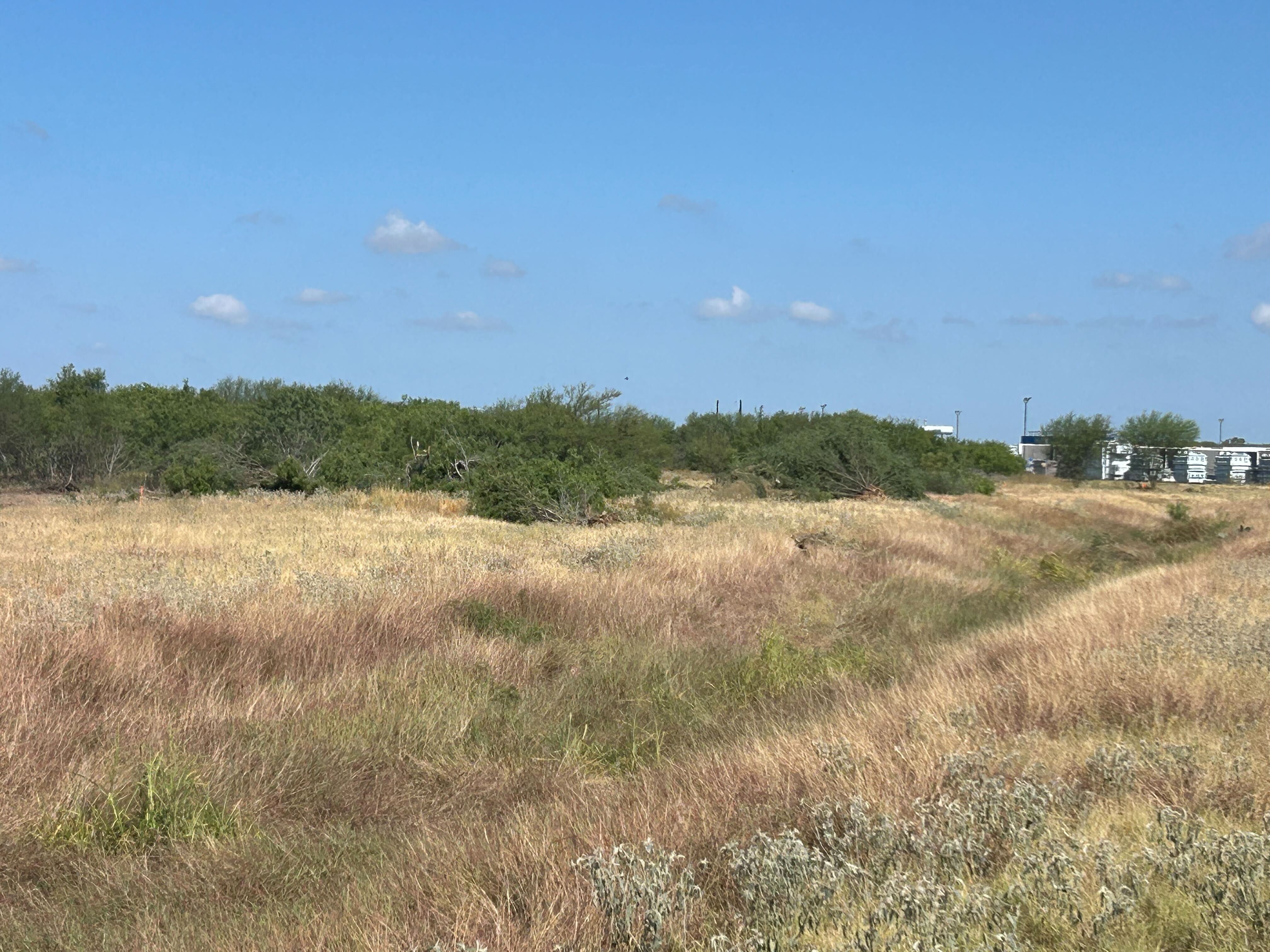 Grub and mulch land clearing in San Antonio TX