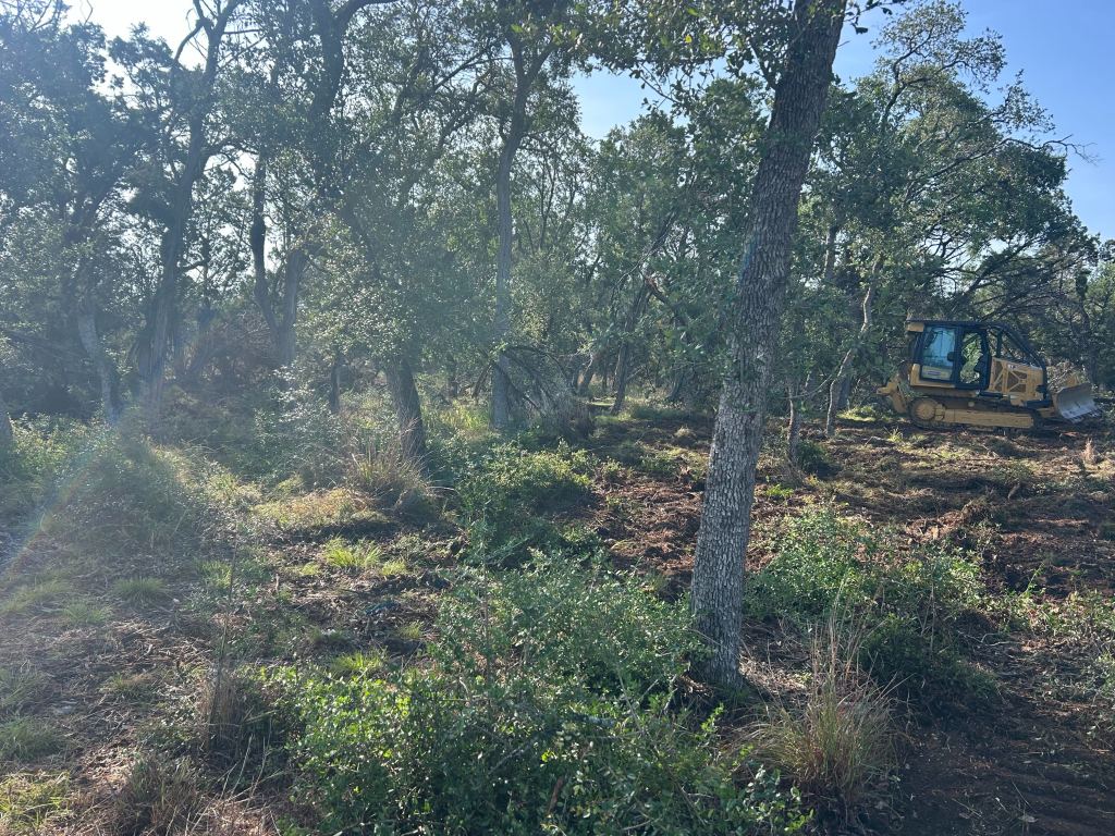 Heavy ground before clearing near Yoakum TX