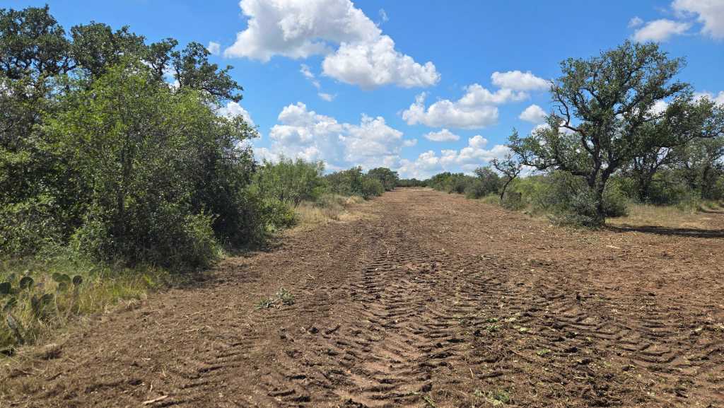 Cleared hunting lane on a McCulloch County ranch near Brady TX