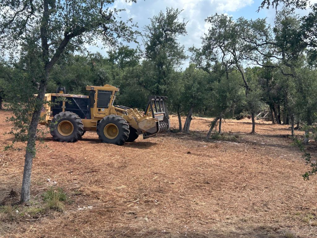 Land clearing equipment working under oaks in Hays County TX near Buda