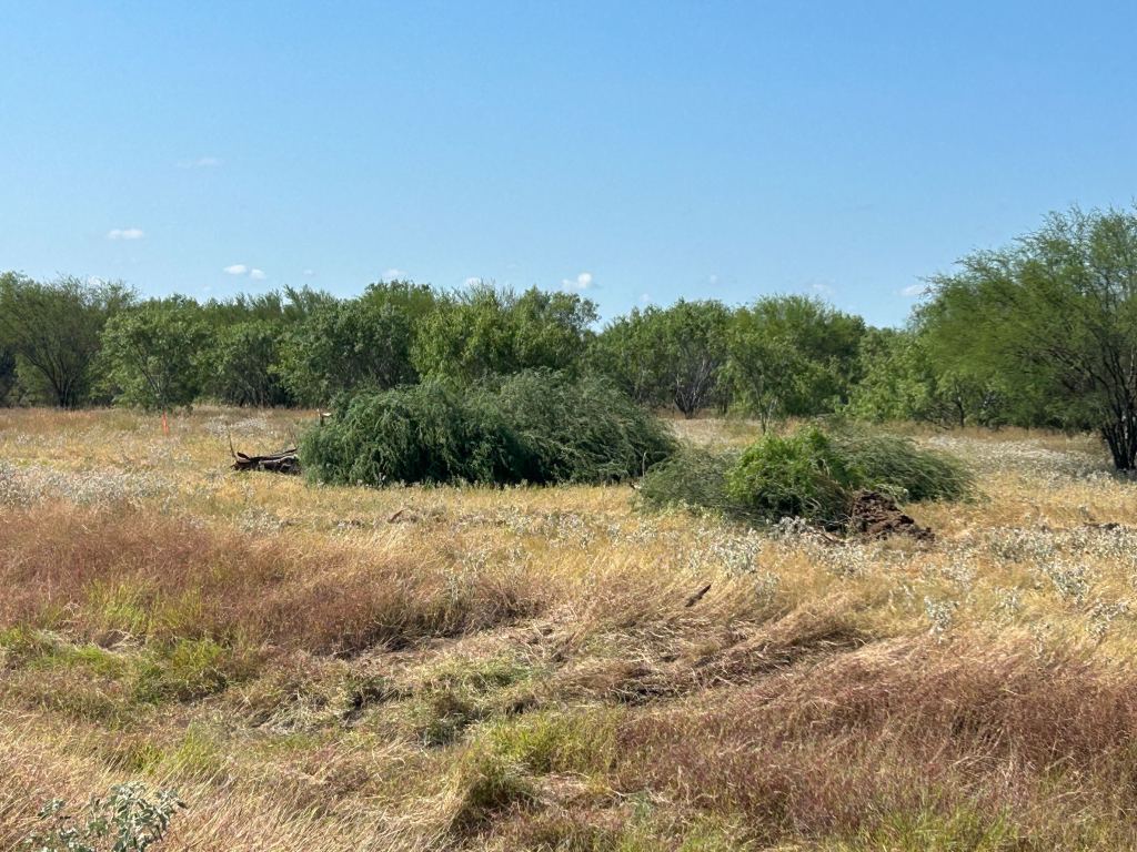 Machines working a San Antonio TX clearing site
